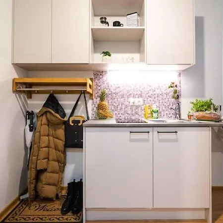 Apartment Koigi Mugavustega Soodne Stuudiokorter Parnu
