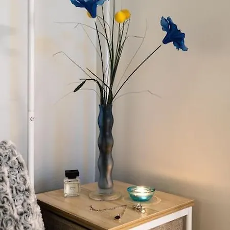 Apartment Koigi Mugavustega Soodne Stuudiokorter Parnu