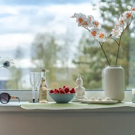 Koigi Mugavustega Soodne Stuudiokorter Apartment Parnu